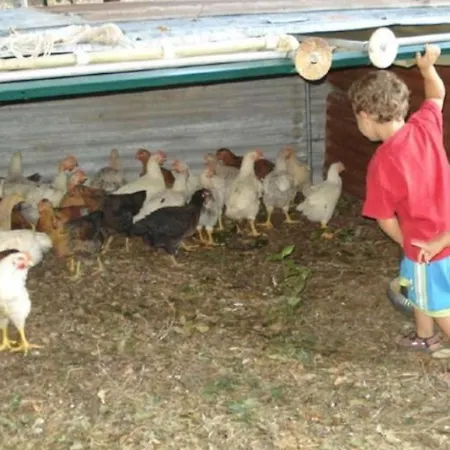 Agritourismus Vigne Di Pace - Il Molino By Interhome Umbertide