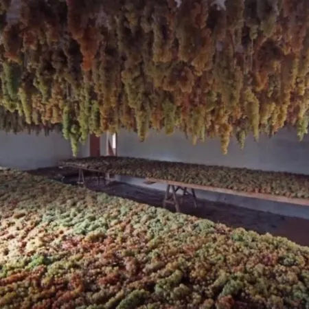 Appartamento Agritourismus Vigne Di Pace - Il Molino By Interhome *