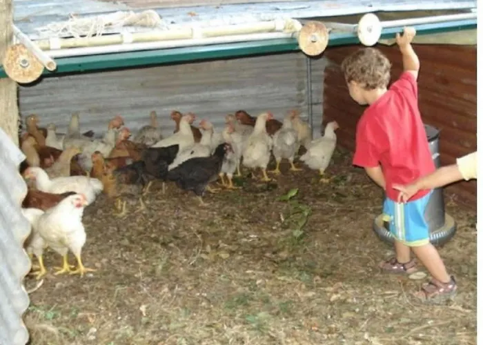 Agritourismus Vigne Di Pace - Il Molino By Interhome Umbertide