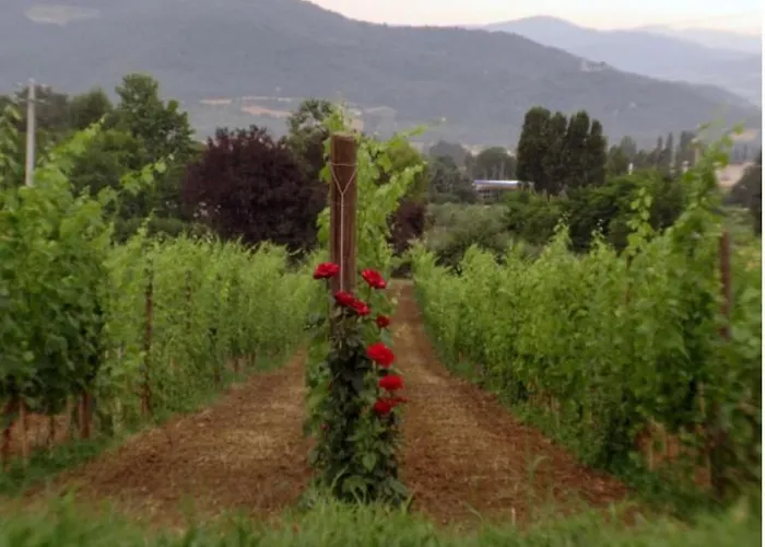 Appartement Agritourismus Vigne Di Pace - Il Molino By Interhome Umbertide