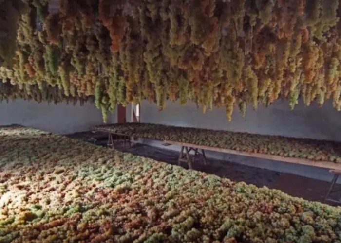 Appartement Agritourismus Vigne Di Pace - Il Molino By Interhome *